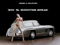 mercedes-300 sl shooting break