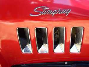 Logo Stingray