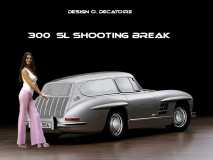mercedes-300 sl shooting break