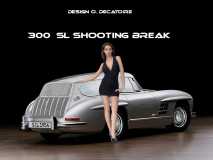 mercedes-300 sl shooting break break de chasse