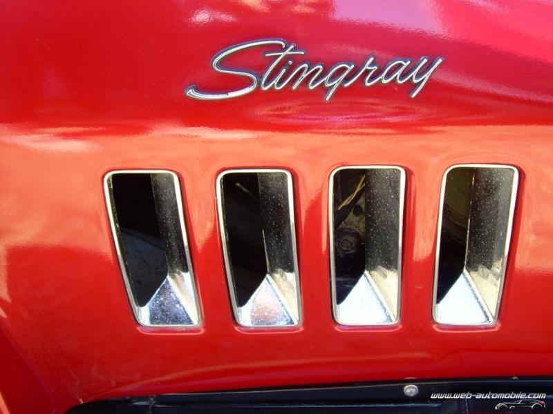 Logo Stingray